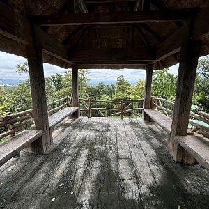 Asian Hoofstock Exhibit - viewing platform