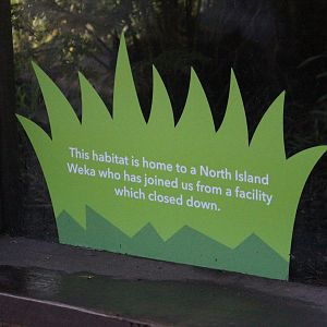 Signage for North Island Weka