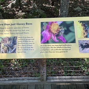 Native Bee Signage at Honeybee Garden