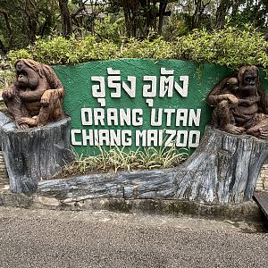 Bornean Orangutan Exhibit Sign