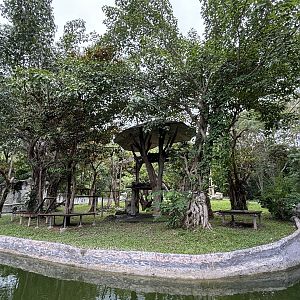 Bornean Orangutan Exhibit