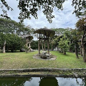 Bornean Orangutan Exhibit