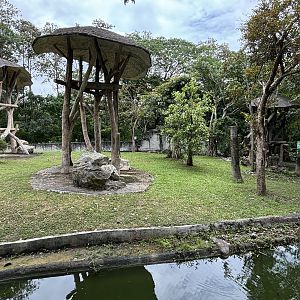 Bornean Orangutan Exhibit