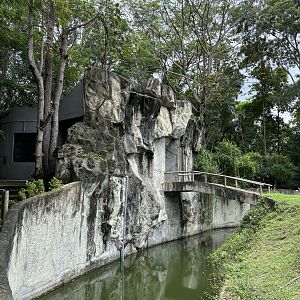 Bornean Orangutan House