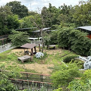 New Exhibit? - ponies