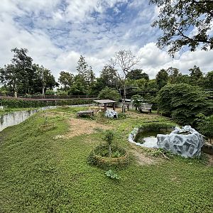 New Exhibit? - ponies