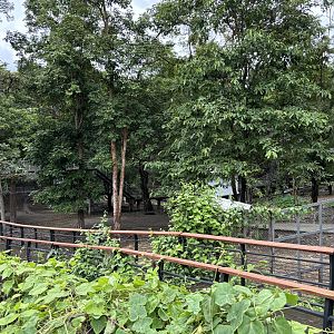 New exhibit complex?