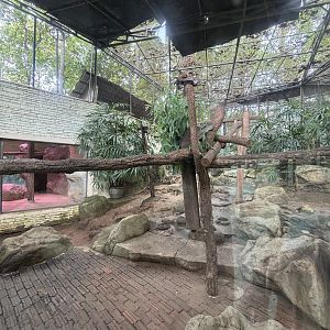 Koala Exhibit