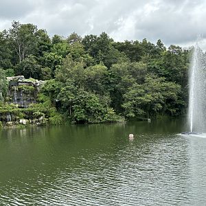 Aquarium Lake + Fountain