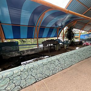 Turtle Exhibit (3 species)