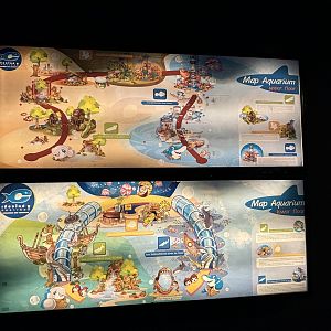 Aquarium Map