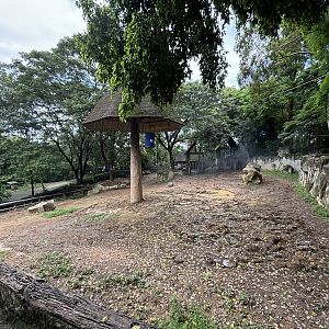 Asian Elephant Exhibit
