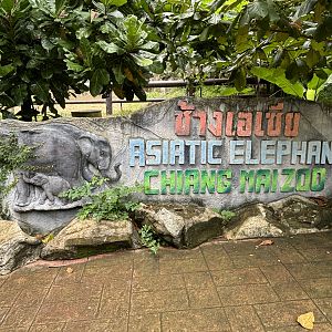 Asian Elephant Exhibit Sign