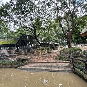 Asian Elephant Exhibit