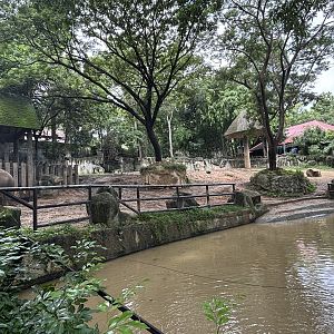 Asian Elephant Exhibit