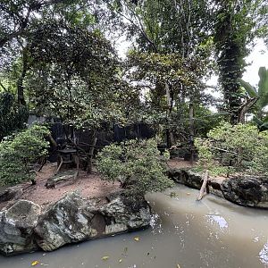 Squirrel Monkey Exhibit