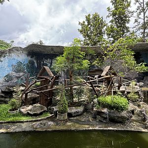 Ring-tailed Lemur Exhibit