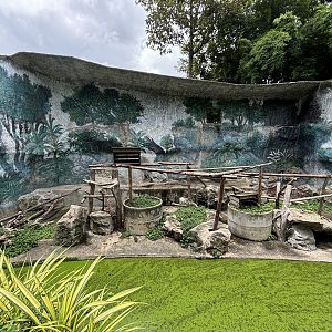 Rhesus Macaque Exhibit