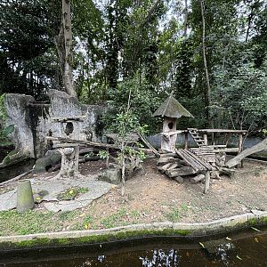 Small-clawed Otter Exhibit