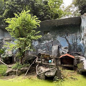 Assam Macaque Exhibit - appeared empty