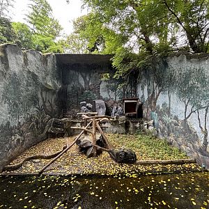 Assam Macaque Exhibit - appeared empty