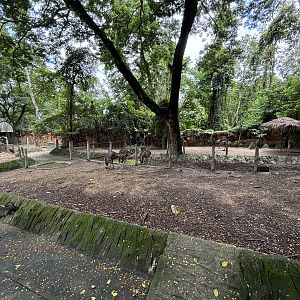 Emu Exhibit