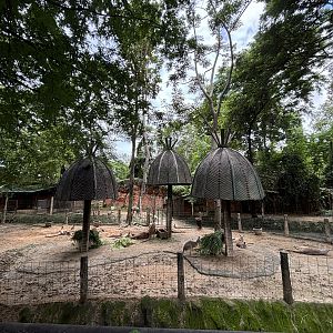 Red Kangaroo Exhibit