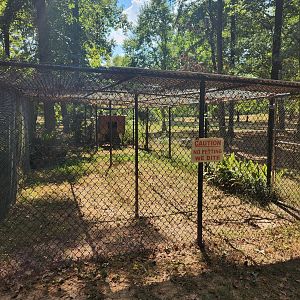 Cypress Black Bayou Park - Gray Fox exhibit
