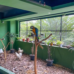 Birds Exhibit