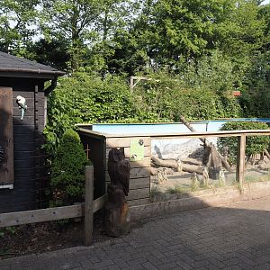 Meerkat exhibit, 2024-05-11