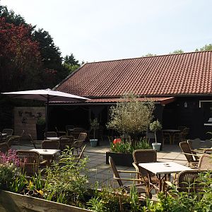 Terrace area next to main building, 2024-05-11