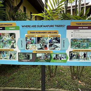 Tiger Information Sign