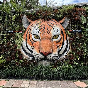 Tiger Statue