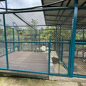 Tiger Holding Area - with outdoor access