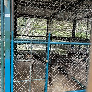 Tiger Holding Area - with outdoor access