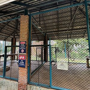 Tiger Holding Areas - with outdoor access