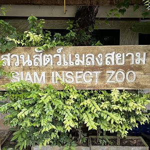 Entrance Sign
