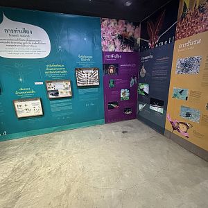 Insect Museum