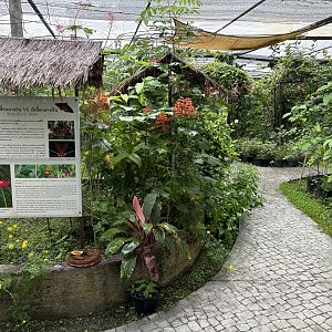 Butterfly Walk-through