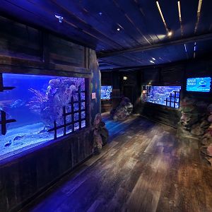 Shreveport Aquarium - Shipwreck exhibit