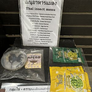 Thai Insect Menu