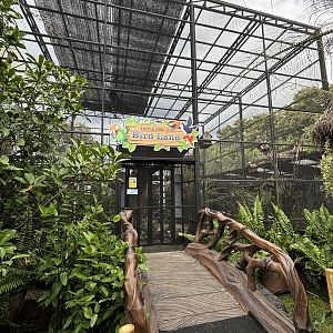 Bird Aviary - Lanna Mini Zoo