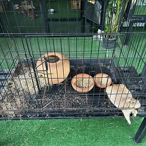 Prairie Dog Cage - Lanna Mini Zoo