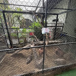 Marmot Exhibit - Lanna Mini Zoo