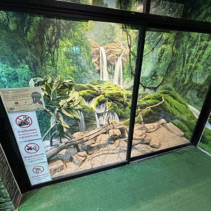 Greater Egyptian Jerboa Exhibit - Lanna Mini Zoo