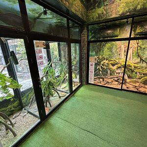 Reptile House - Lanna Mini Zoo