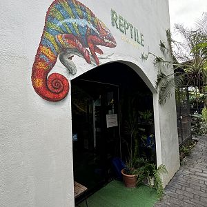 Reptile House - Lanna Mini Zoo