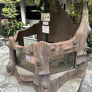 Prairie Dog Exhibit - Lanna Mini Zoo