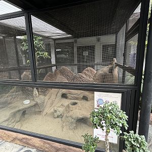 Meerkat Exhibit - Lanna Mini Zoo