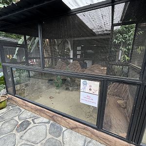 Fennec Fox Exhibit - Lanna Mini Zoo